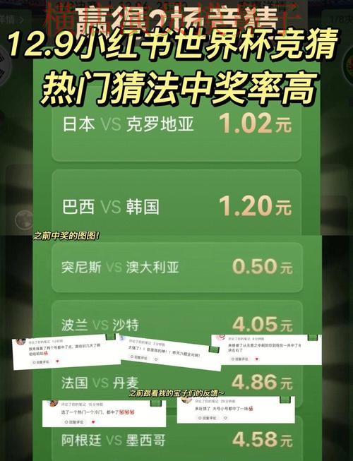 世界杯直播期间热门世界杯竞猜平台精选与直播入口分析 世界杯直播期间热门世界杯竞猜平台精选与直播入口分析